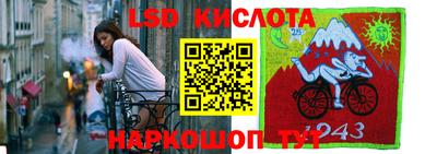 стафф Ярославль